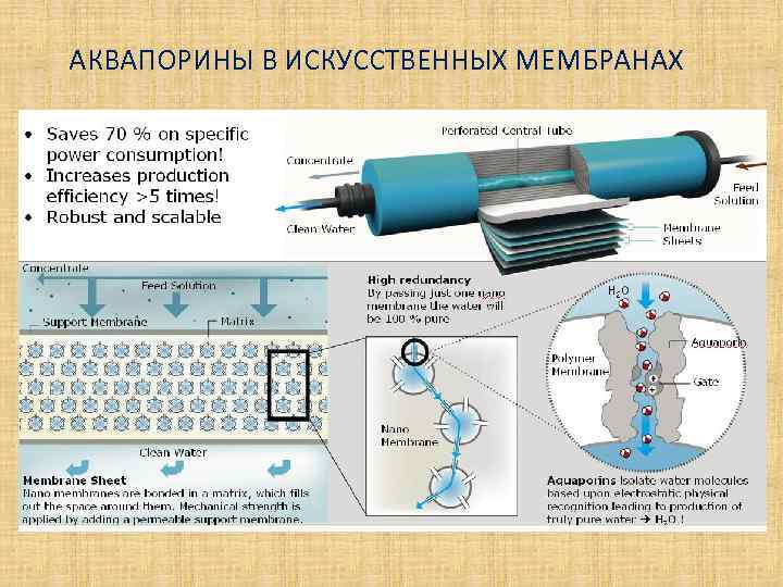 АКВАПОРИНЫ В ИСКУССТВЕННЫХ МЕМБРАНАХ 