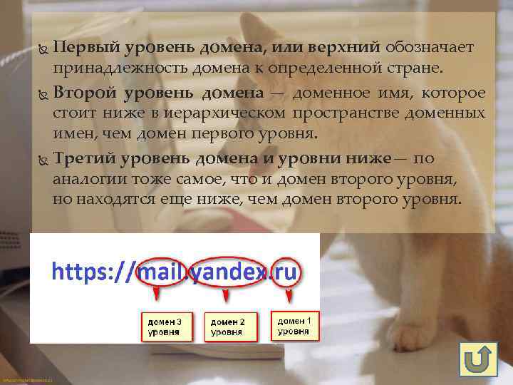 Первый уровень домена, или верхний обозначает принадлежность домена к определенной стране. Второй уровень домена