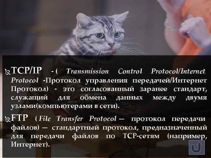  TCP/IP - ( Transmission Control Protocol/Internet Protocol -Протокол управления передачей/Интернет Протокол) - это