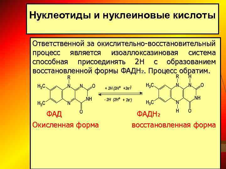 Нуклеиновые кислоты реакции. ФАД И фадн2. Строение ФАД И фадн2. Фадн2 биохимия. Флавинового кофермента фадн2.
