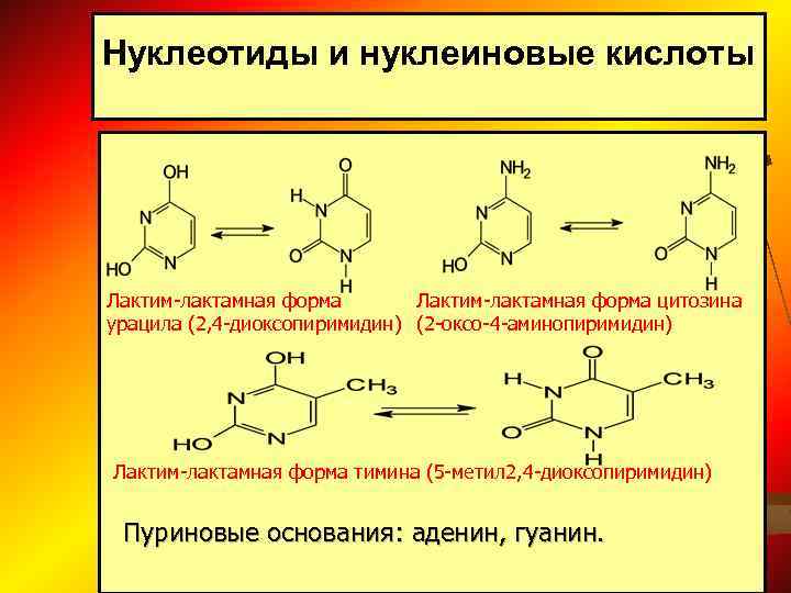 Нуклеотиды содержащие тимин