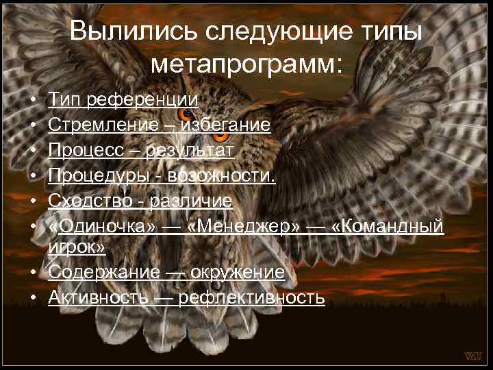 Вылились следующие типы метапрограмм: • • • Тип референции Стремление – избегание Процесс –