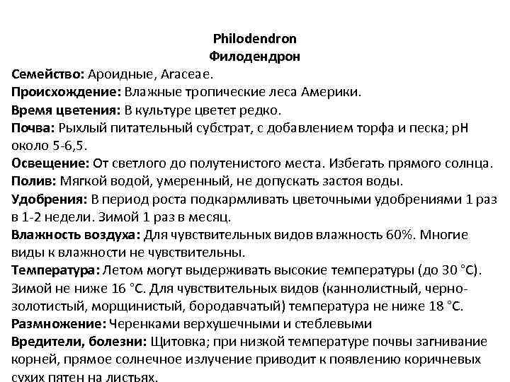 Philodendron Филодендрон Семейство: Ароидные, Araceae. Происхождение: Влажные тропические леса Америки. Время цветения: В культуре