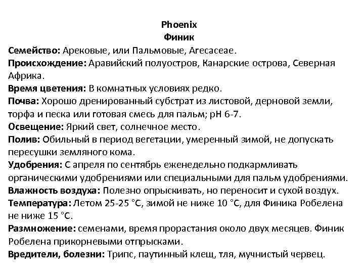 Phoenix Финик Семейство: Арековые, или Пальмовые, Arеcасeae. Происхождение: Аравийский полуостров, Канарские острова, Северная Африка.