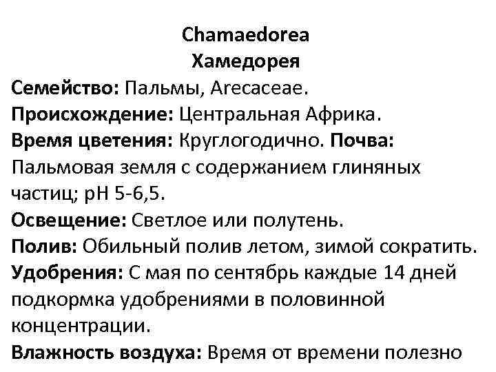 Chamaedorea Хамедорея Семейство: Пальмы, Arecaceae. Происхождение: Центральная Африка. Время цветения: Круглогодично. Почва: Пальмовая земля