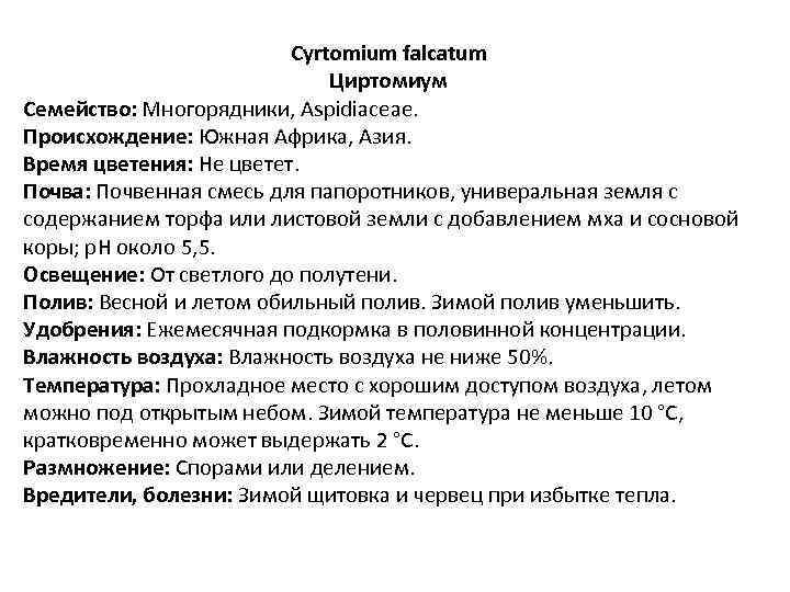 Cyrtomium falcatum Циртомиум Семейство: Многорядники, Aspidiaceae. Происхождение: Южная Африка, Азия. Время цветения: Не цветет.