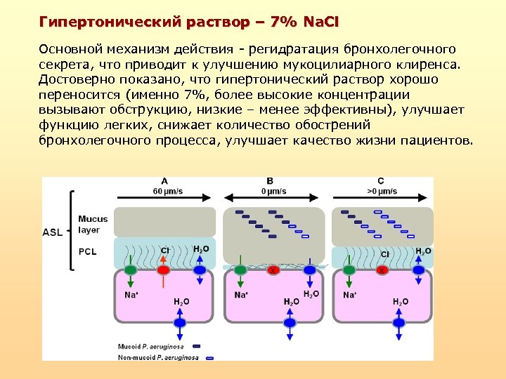 Гипертонический раствор – 7% Na. Cl Основной механизм действия - регидратация бронхолегочного секрета, что