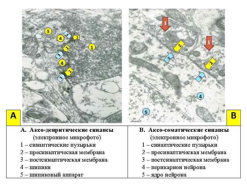 1 5 1 1 3 3 2 2 2 3 4 3 3 2