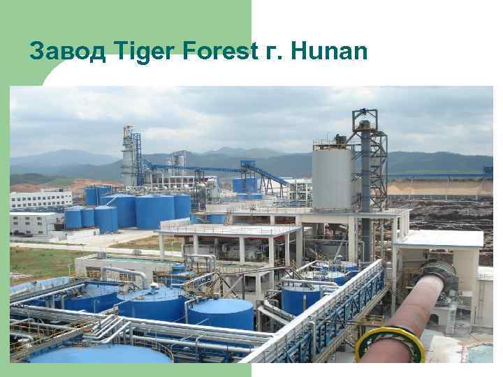 Завод Tiger Forest г. Hunan 