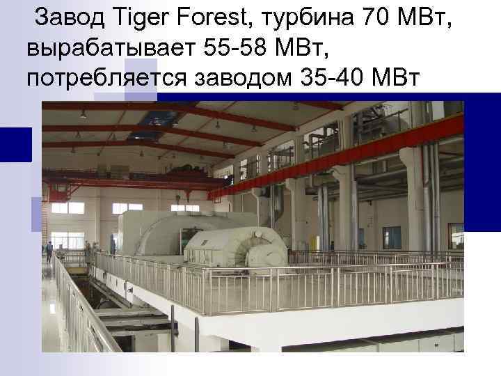 Завод Tiger Forest, турбина 70 МВт, вырабатывает 55 -58 МВт, потребляется заводом 35 -40