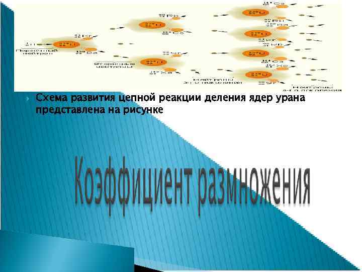  Схема развития цепной реакции деления ядер урана представлена на рисунке 