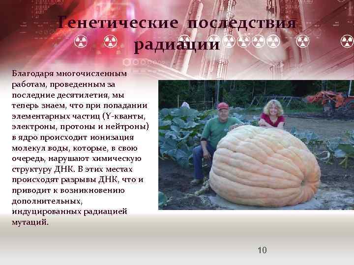 Генетические последствия радиации Благодаря многочисленным работам, проведенным за последние десятилетия, мы теперь знаем, что