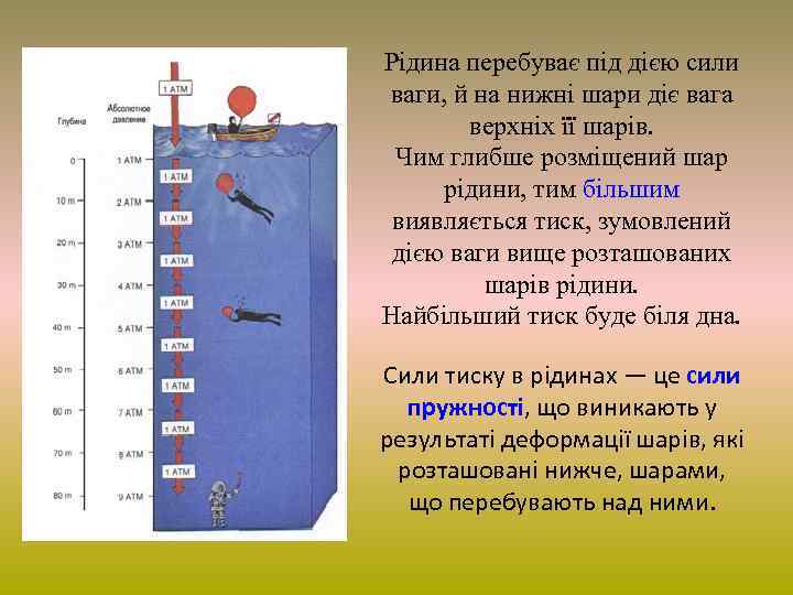 Рідина перебуває під дією сили ваги, й на нижні шари діє вага верхніх її