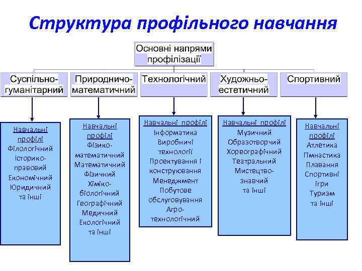 Структура профільного навчання Навчальні профілі Філологічний Історикоправовий Економічний Юридичний та інші Навчальні профілі Фізикоматематичний