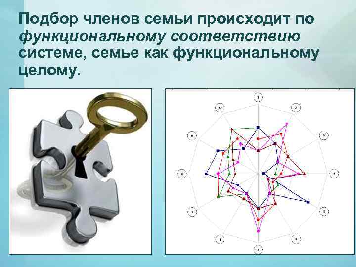 Подбор членов семьи происходит по функциональному соответствию системе, семье как функциональному целому. 