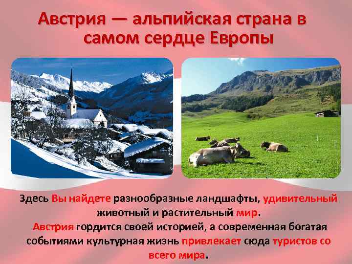 Население альпийских стран. Презентация на тему Австрия. Окружающий мир в центре Европы Австрия. В центре Европы 3 класс окружающий. Сообщение в центре Европы.