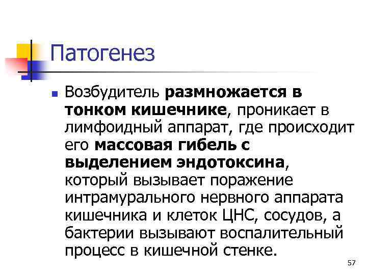 Патогенез n Возбудитель размножается в тонком кишечнике, проникает в лимфоидный аппарат, где происходит его