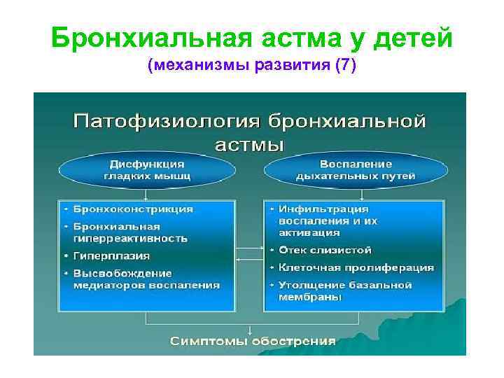 Бронхиальная астма у детей (механизмы развития (7) 