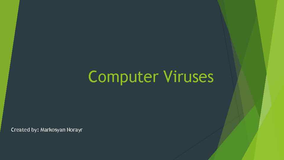 Computer Viruses Created by: Markosyan Norayr 