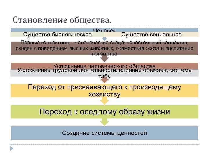 Становление общества. Существо биологическое Человек Существо социальное Первые коллективы – человеческие стада: непостоянный коллектив,