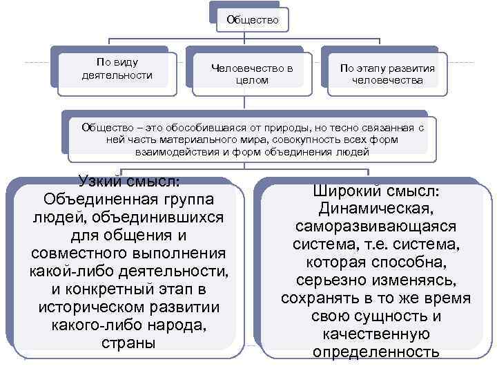 Общество По виду деятельности Человечество в целом По этапу развития человечества Общество – это