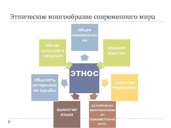 Этническое многообразие современного мира общее самосознан ие общая культура и традиции общность историческ ой
