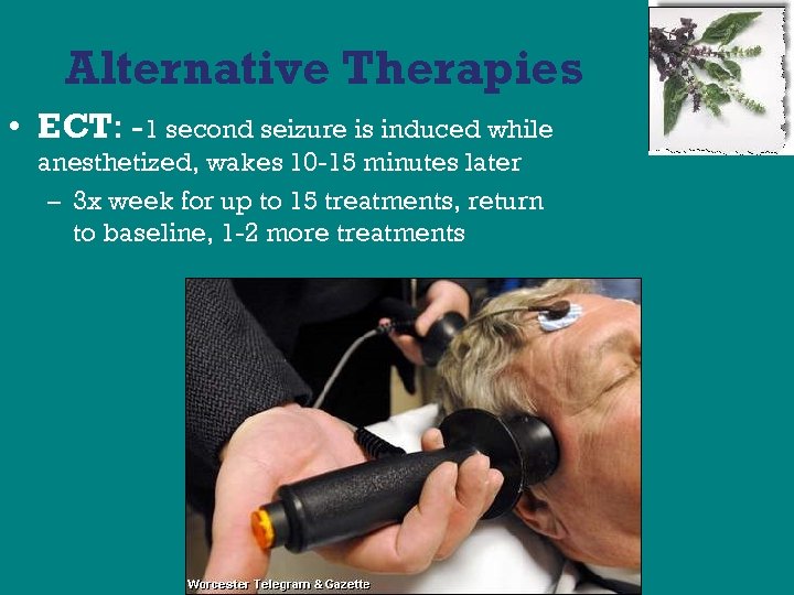 Alternative Therapies • ECT: -1 second seizure is induced while anesthetized, wakes 10 -15