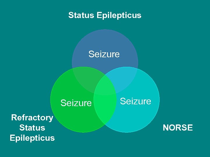 Status Epilepticus Seizure Refractory Status Epilepticus Seizure NORSE 