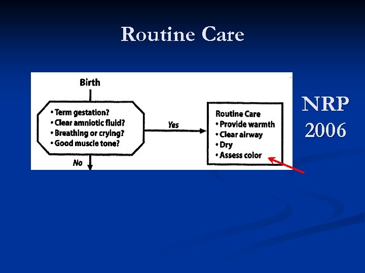 Routine Care NRP 2006 