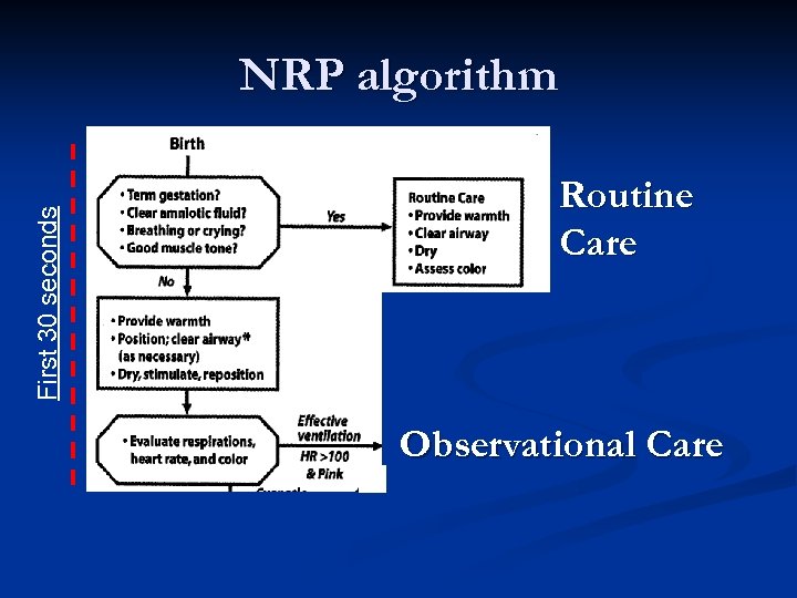 First 30 seconds NRP algorithm Routine Care Observational Care 