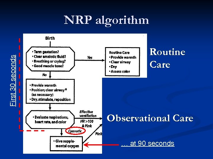 The New NRP Algorithm NRP 2006 Western