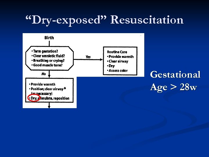 “Dry-exposed” Resuscitation Gestational Age > 28 w 