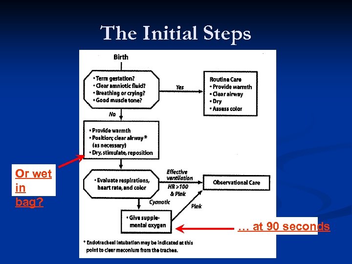 The Initial Steps Or wet in bag? … at 90 seconds 