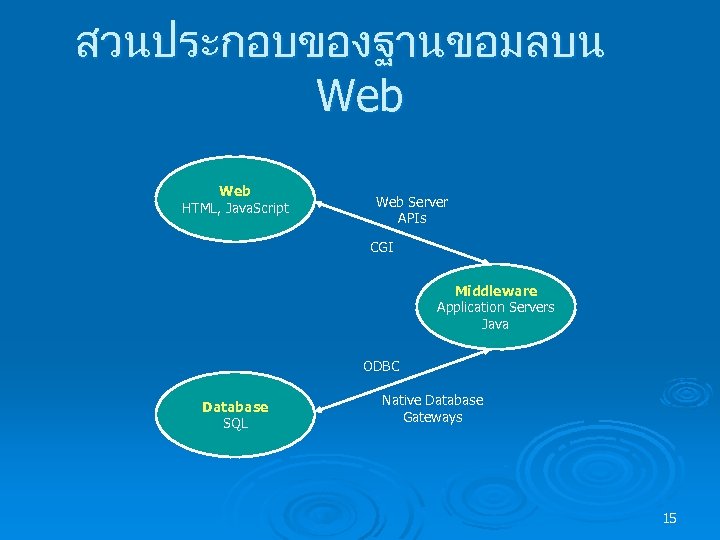 สวนประกอบของฐานขอมลบน Web HTML, Java. Script Web Server APIs CGI Middleware Application Servers Java ODBC