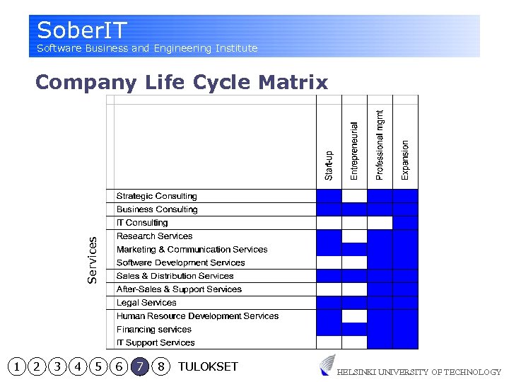 Sober. IT Software Business and Engineering Institute Services Company Life Cycle Matrix 1 2