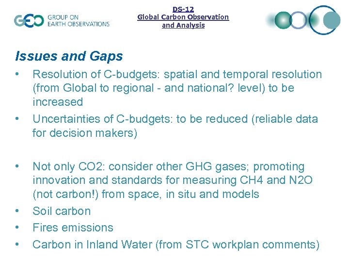 DS-12 Global Carbon Observation and Analysis Issues and Gaps • • • Resolution of