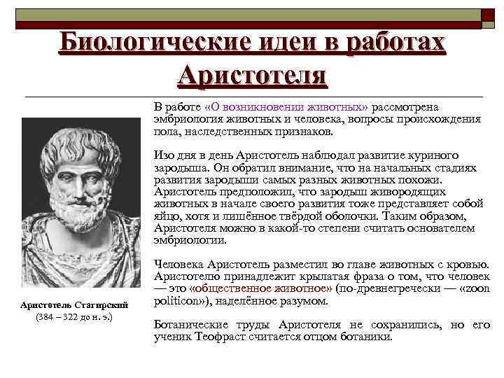 Биологические идеи в работах Аристотеля В работе «О возникновении животных» рассмотрена эмбриология животных и