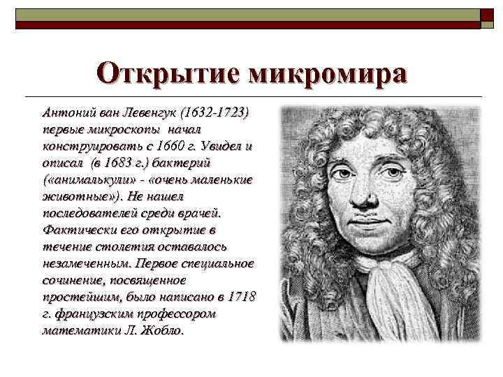 Антоний ван левенгук. Антоний Ван Левенгук 1632-1723 вклад в гистологию. Левенгук открытия. Антоний Ван Левенгук микроскоп.