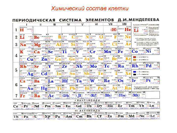 Химический состав клетки 