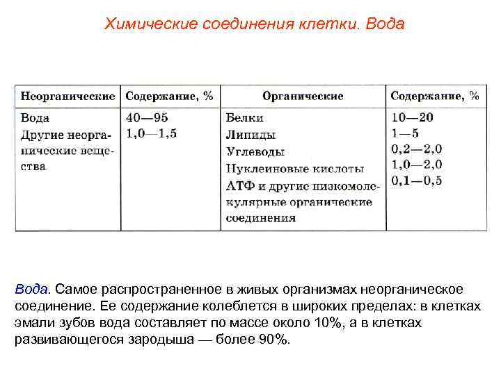 Химические соединения клетки. Вода. Самое распространенное в живых организмах неорганическое соединение. Ее содержание колеблется
