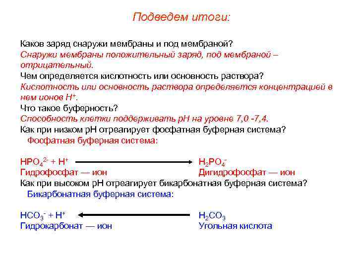 Подведем итоги: Каков заряд снаружи мембраны и под мембраной? Снаружи мембраны положительный заряд, под