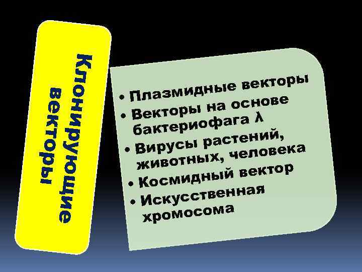 Кл онирую щие ве кторы векторы змидные • Пла основе а екторы н ага