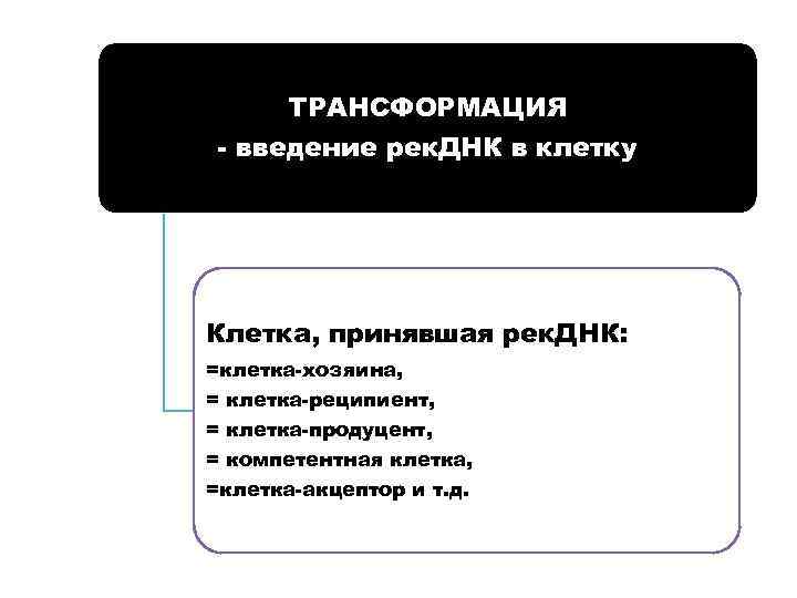 ТРАНСФОРМАЦИЯ - введение рек. ДНК в клетку Клетка, принявшая рек. ДНК: =клетка-хозяина, = клетка-реципиент,