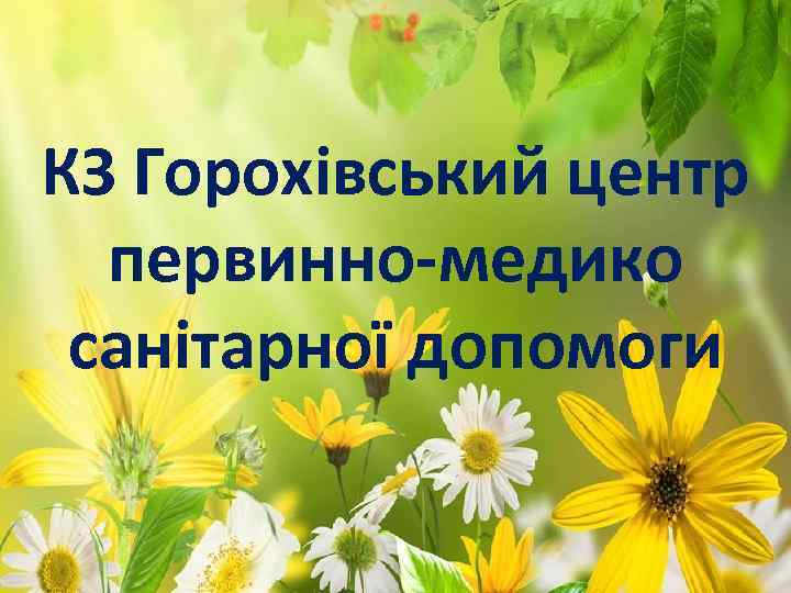 КЗ Горохівський центр первинно-медико санітарної допомоги 