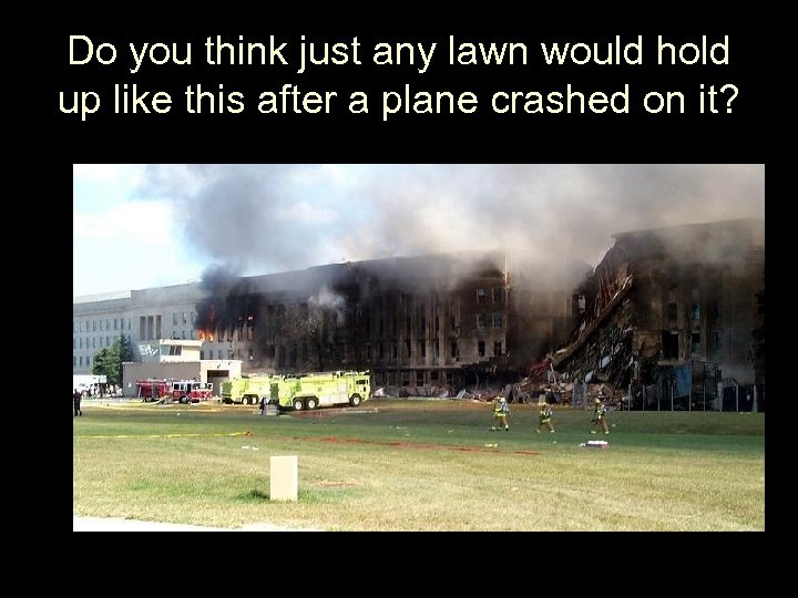 Do you think just any lawn would hold up like this after a plane