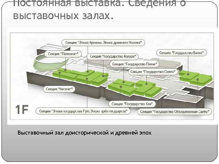 Постоянная выставка. Сведения о выставочных залах. Выставочный зал доисторической и древней эпох 