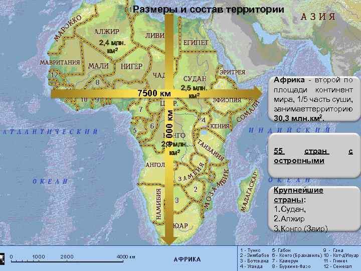 Размеры и состав территории 2, 4 млн. км 2 8 000 км 7500 км