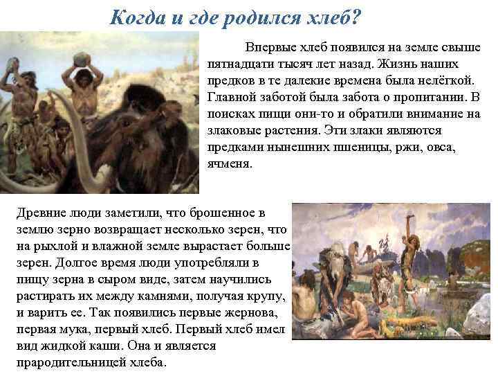 Когда и где родился хлеб? Впервые хлеб появился на земле свыше пятнадцати тысяч лет