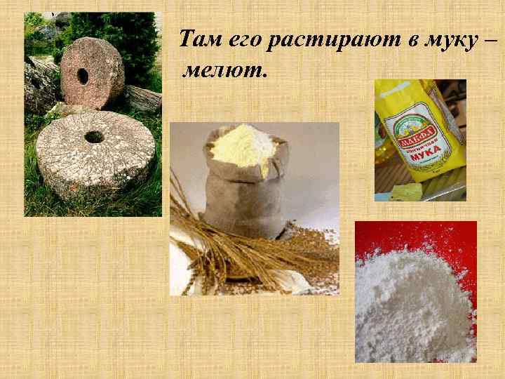 Там его растирают в муку – мелют. 