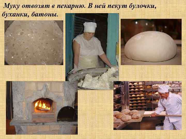 Муку отвозят в пекарню. В ней пекут булочки, буханки, батоны. 